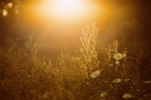 Strona główna - prezentacja - zdjęcie 1